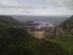 Moth habitat by the sea