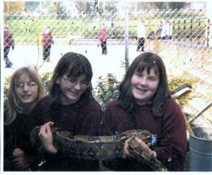 The reason you can't see the snake's head is because it was making a break for the bush just out of shot.